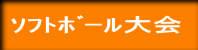 ｿﾌﾄﾎﾞｰﾙ大会