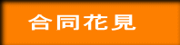 合同花見